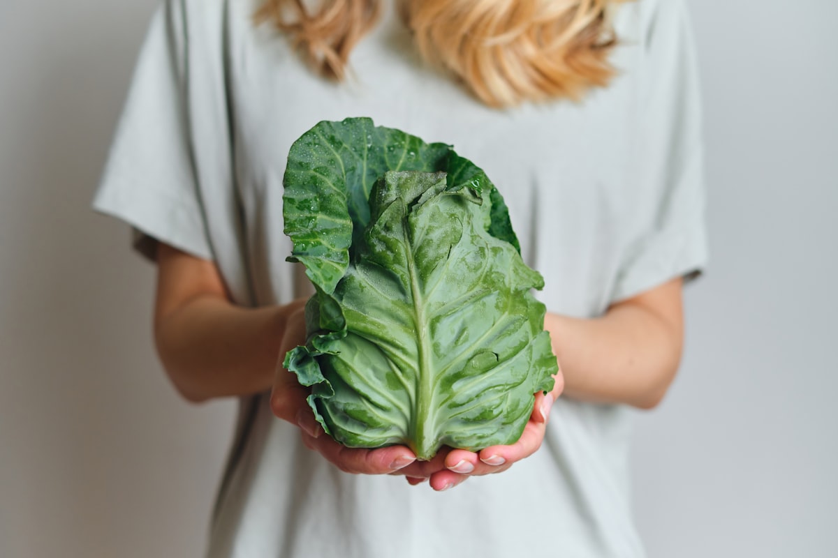 Protein: Nutrisi Paling Penting untuk Penurunan Berat Badan